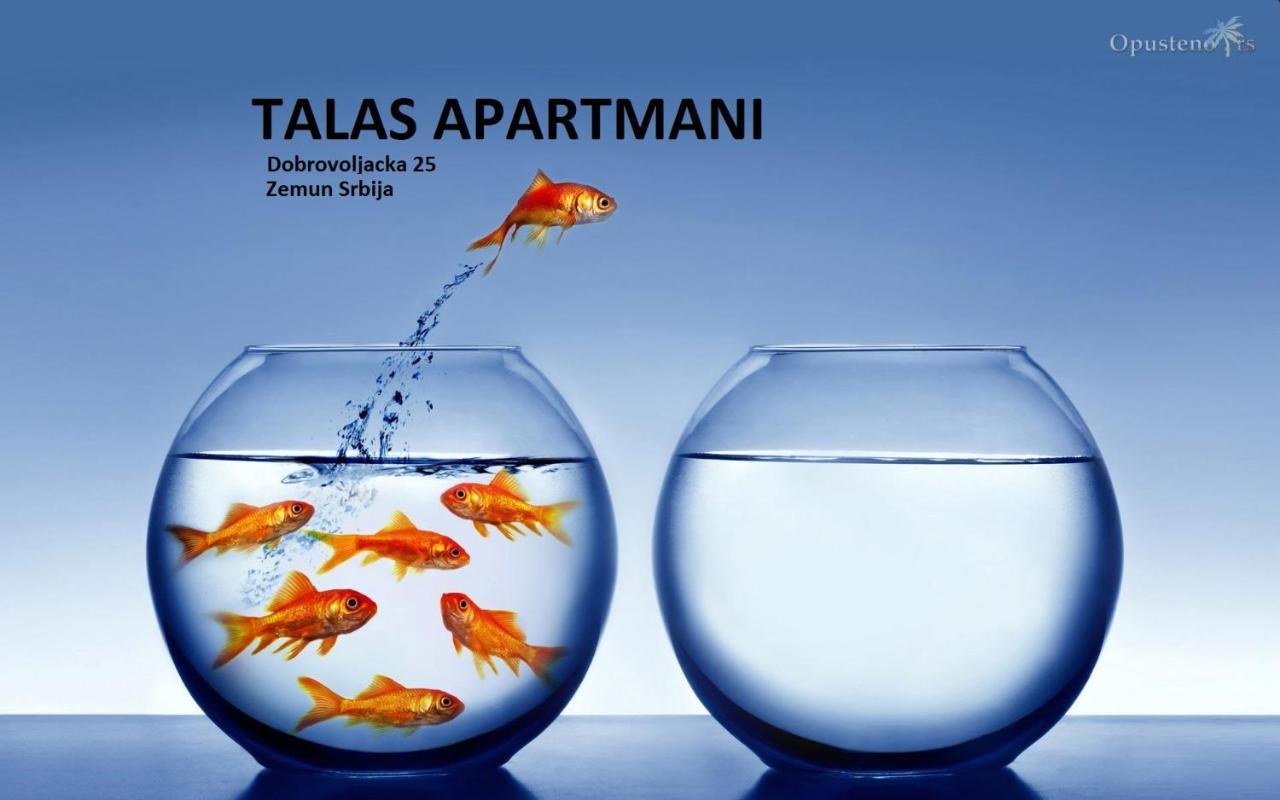 Talas Apartmani Белград Экстерьер фото